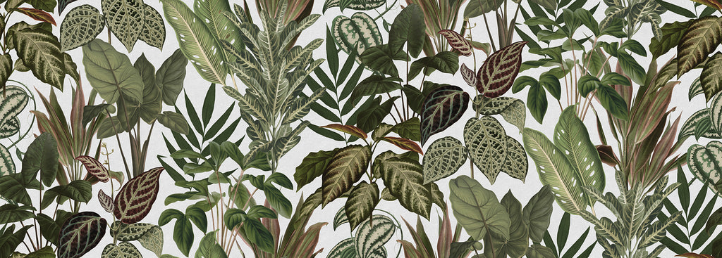 Mischievous Jungle wall mural by Rebel Walls in Green – White, flat swatch