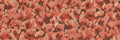 Corals wall mural by Rebel Walls, flat panel of fan-shaped corals in coral red on dark brown