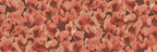 Corals wall mural by Rebel Walls, flat panel of fan-shaped corals in coral red on dark brown