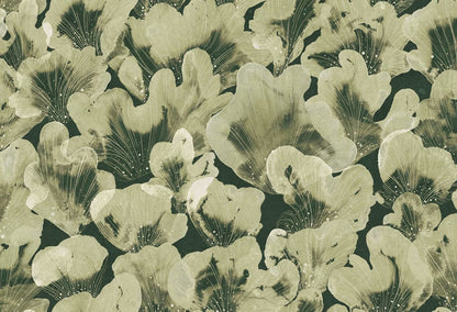 Corals - Wallpaper Trader