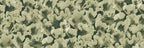 Corals wall mural by Rebel Walls, flat panel of fan-shaped corals in soft sage green on dark green