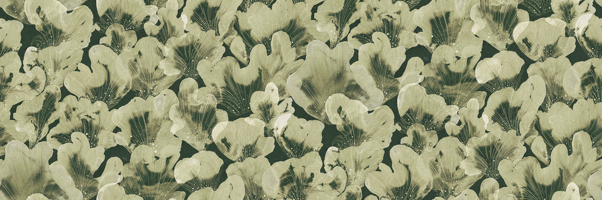 Corals wall mural by Rebel Walls, flat panel of fan-shaped corals in soft sage green on dark green