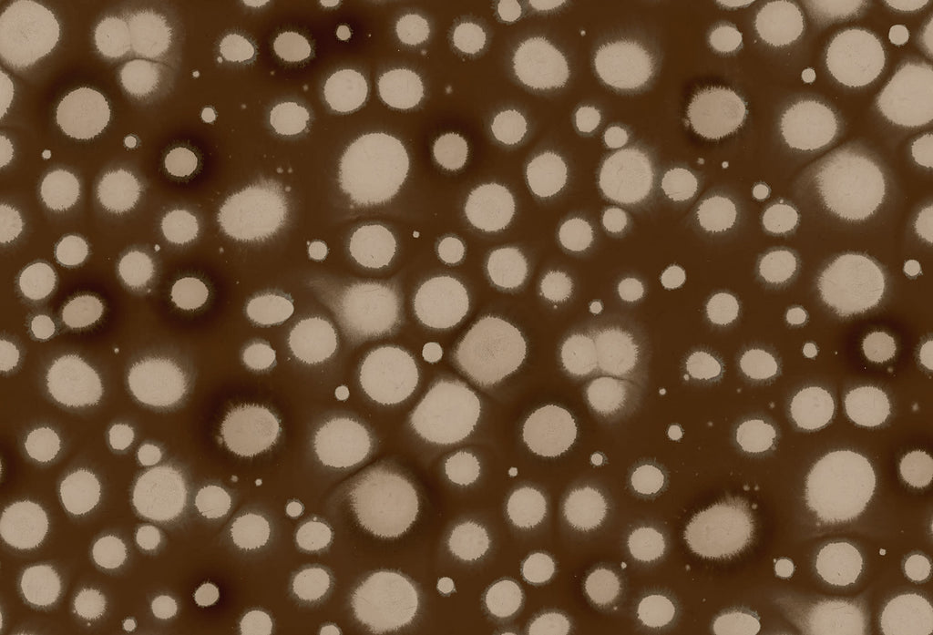 Spotted Puffer wall mural by Rebel Walls, flat panel of soft cream spots scattered on a deep brown ground
