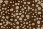 Spotted Puffer wall mural by Rebel Walls, flat panel of soft cream spots scattered on a deep brown ground