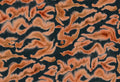 Guppy wall mural by Rebel Walls, flat panel of the burnt orange and dark navy watercolour swirl pattern