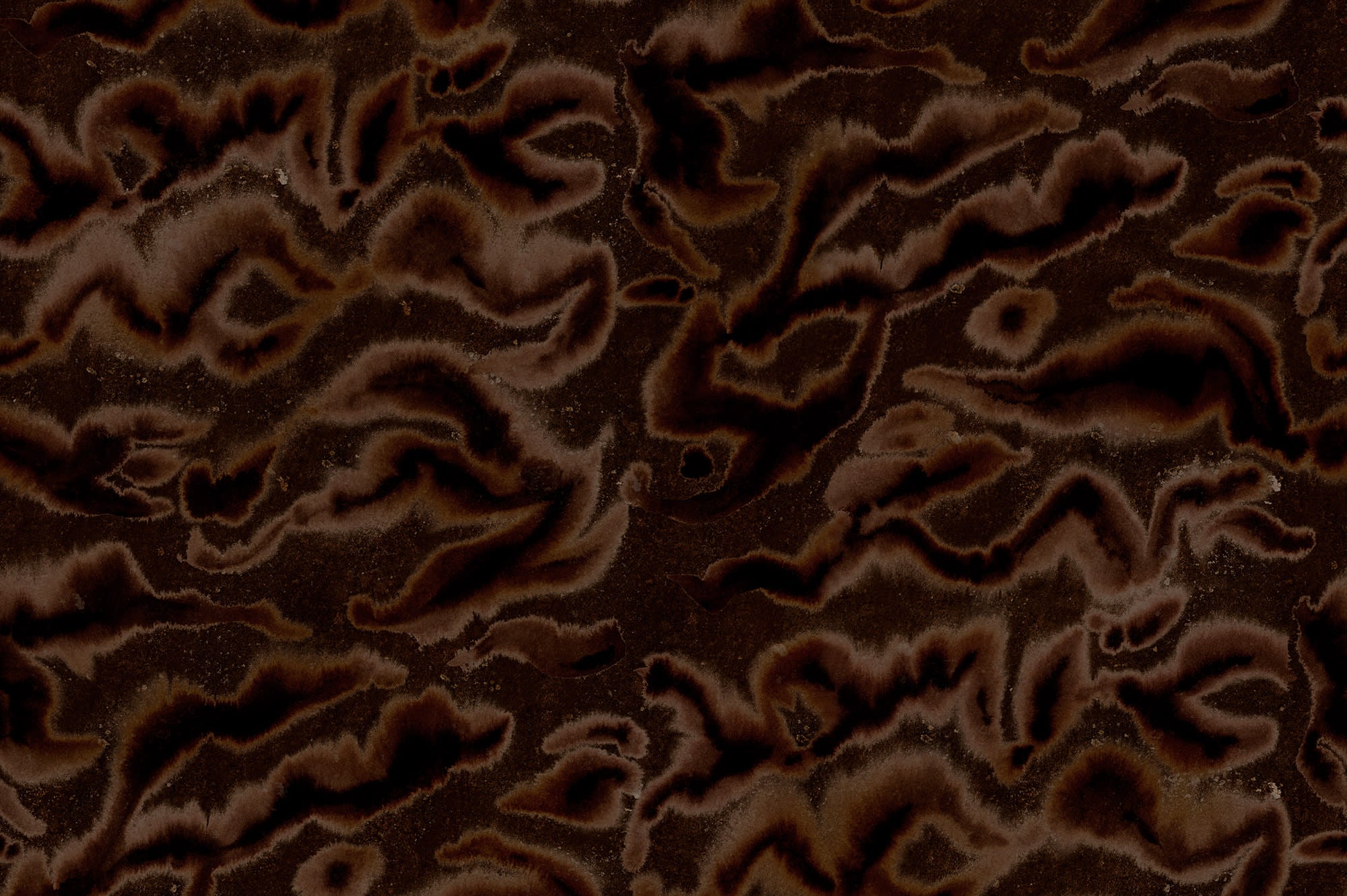 Guppy wall mural by Rebel Walls, flat panel of the deep chocolate brown watercolour swirl pattern
