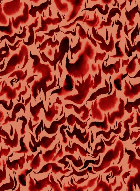 Discus Fish - Wallpaper Trader