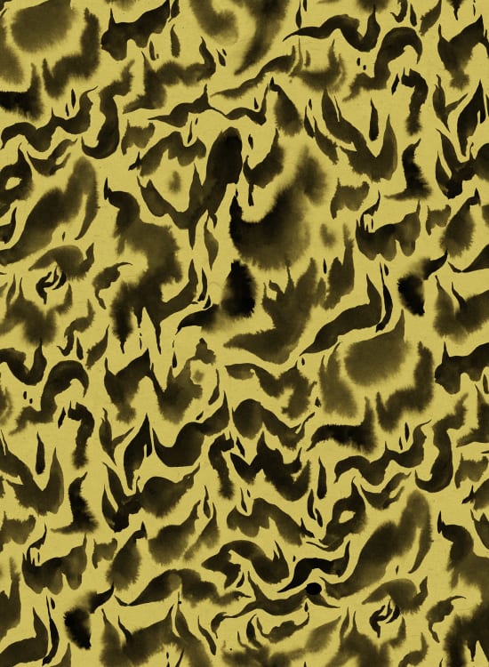 Discus Fish - Wallpaper Trader