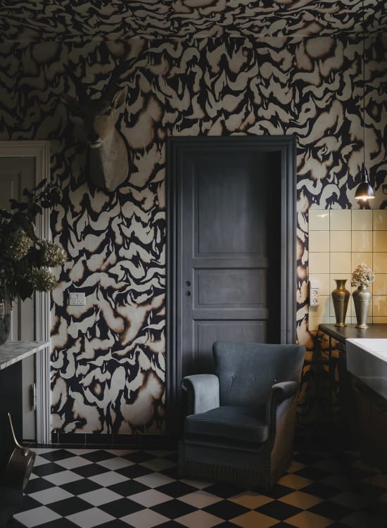 Discus Fish - Wallpaper Trader