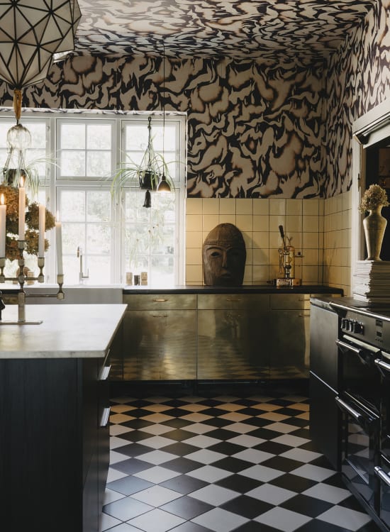 Discus Fish - Wallpaper Trader