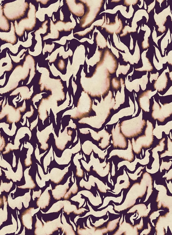 Discus Fish - Wallpaper Trader