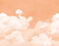 Fluffy Clouds wall mural by Rebel Walls, flat swatch of white clouds against a warm peach sky