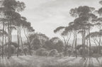 Pine Wood wall mural by Rebel Walls in Grey, flat swatch