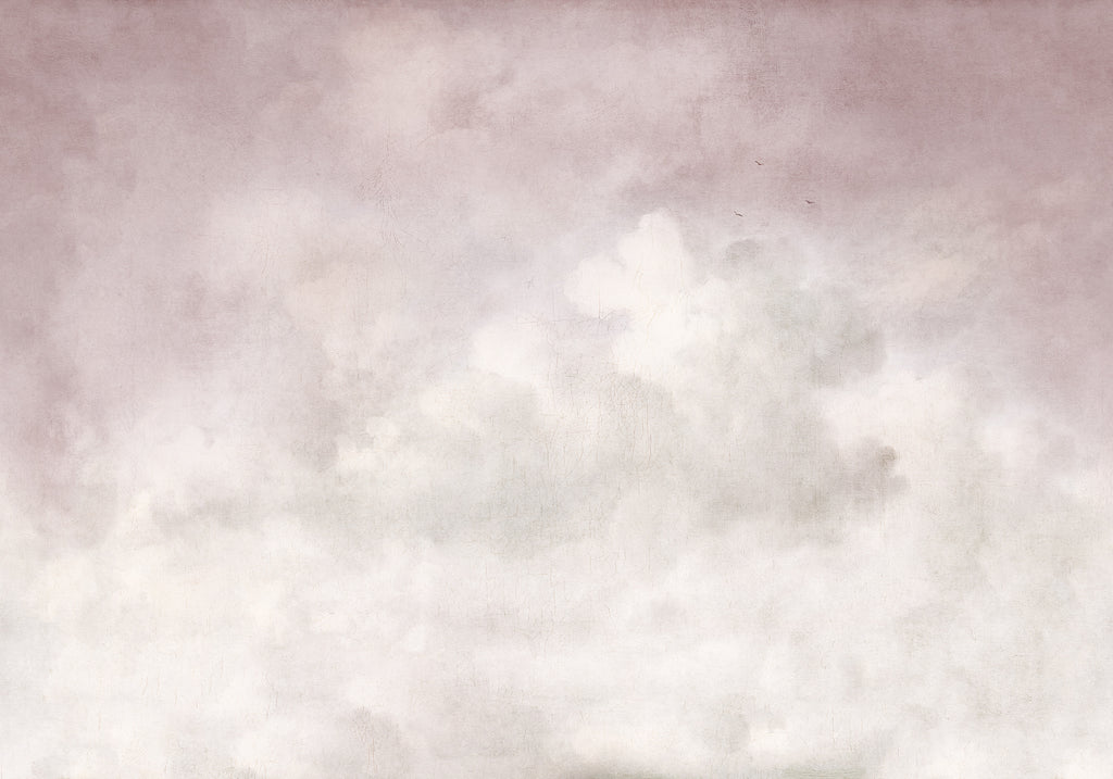 Vintage Clouds wall mural by Rebel Walls in Pink, flat swatch