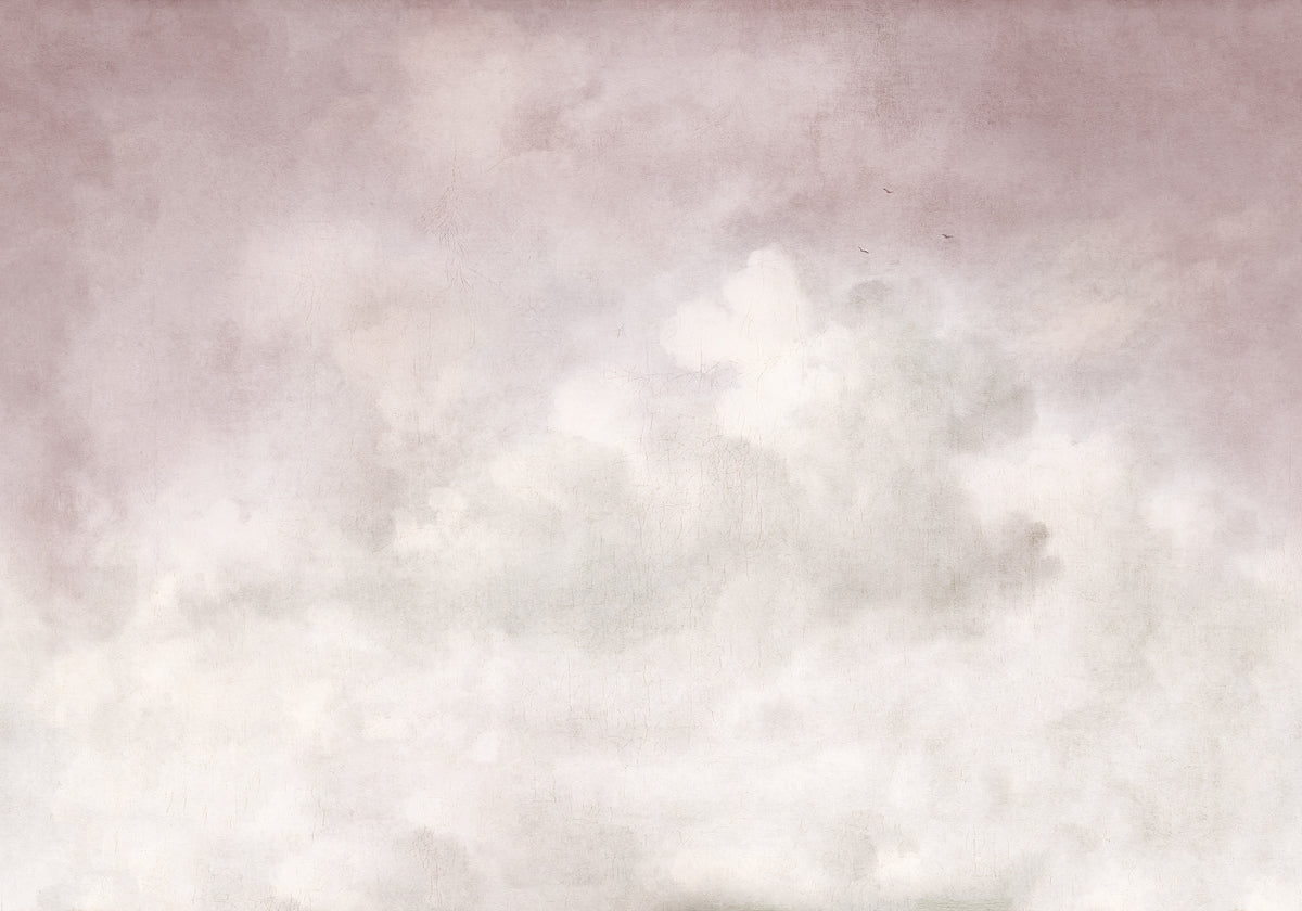 Vintage Clouds wall mural by Rebel Walls in Pink, flat swatch