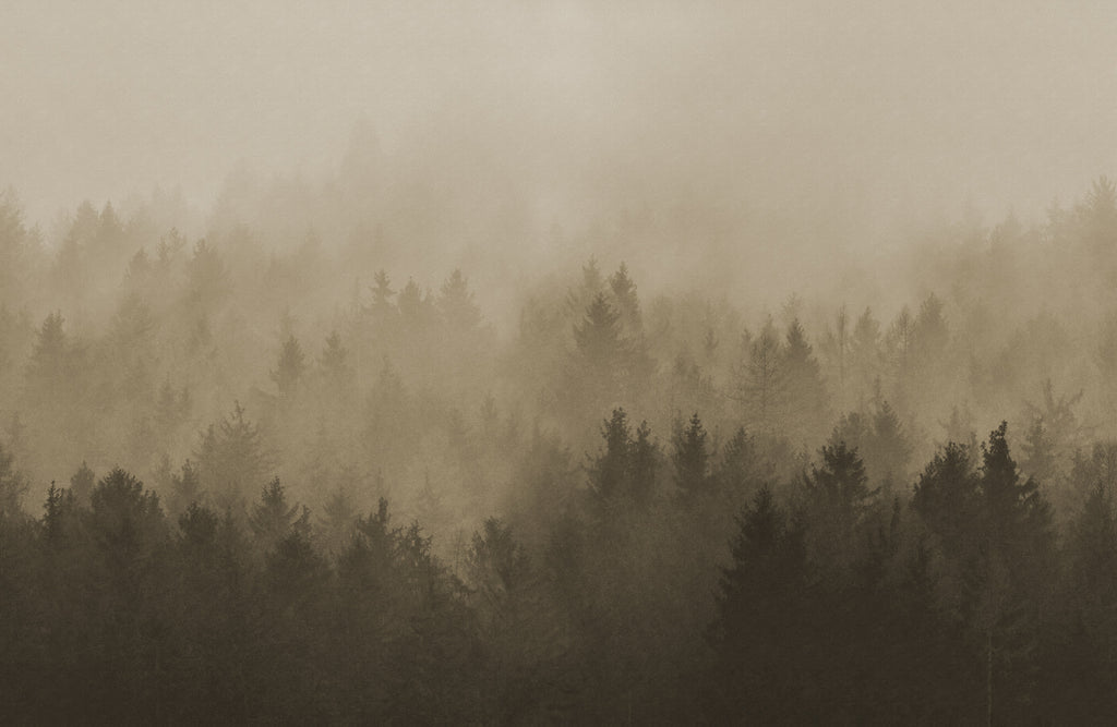 Cloudy Forest wall mural by Rebel Walls in Brown, flat swatch