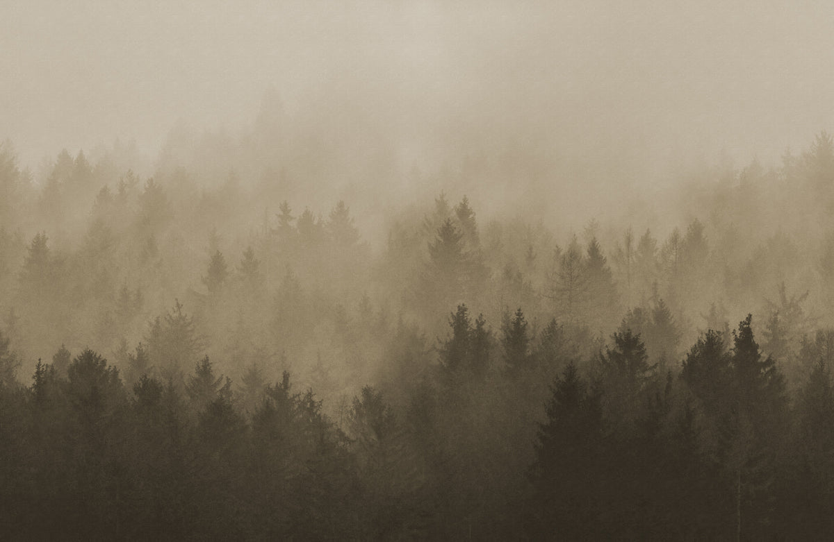 Cloudy Forest wall mural by Rebel Walls in Brown, flat swatch