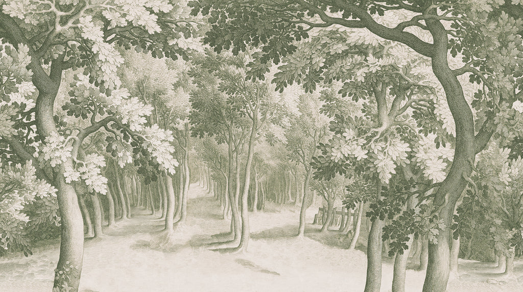 Forest Engraving wall mural by Rebel Walls in Green, flat swatch