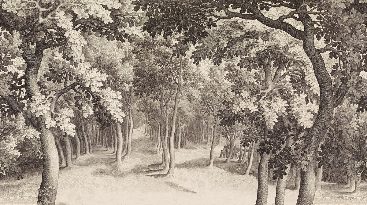 Forest Engraving wall mural by Rebel Walls in Brown – Sepia, flat swatch