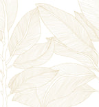 Ruby Lines wall mural by Rebel Walls in Cream, flat swatch