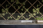 Ivy Trellis wall mural by Rebel Walls in Black, styled room