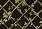 Ivy Trellis wall mural by Rebel Walls in Black, flat swatch