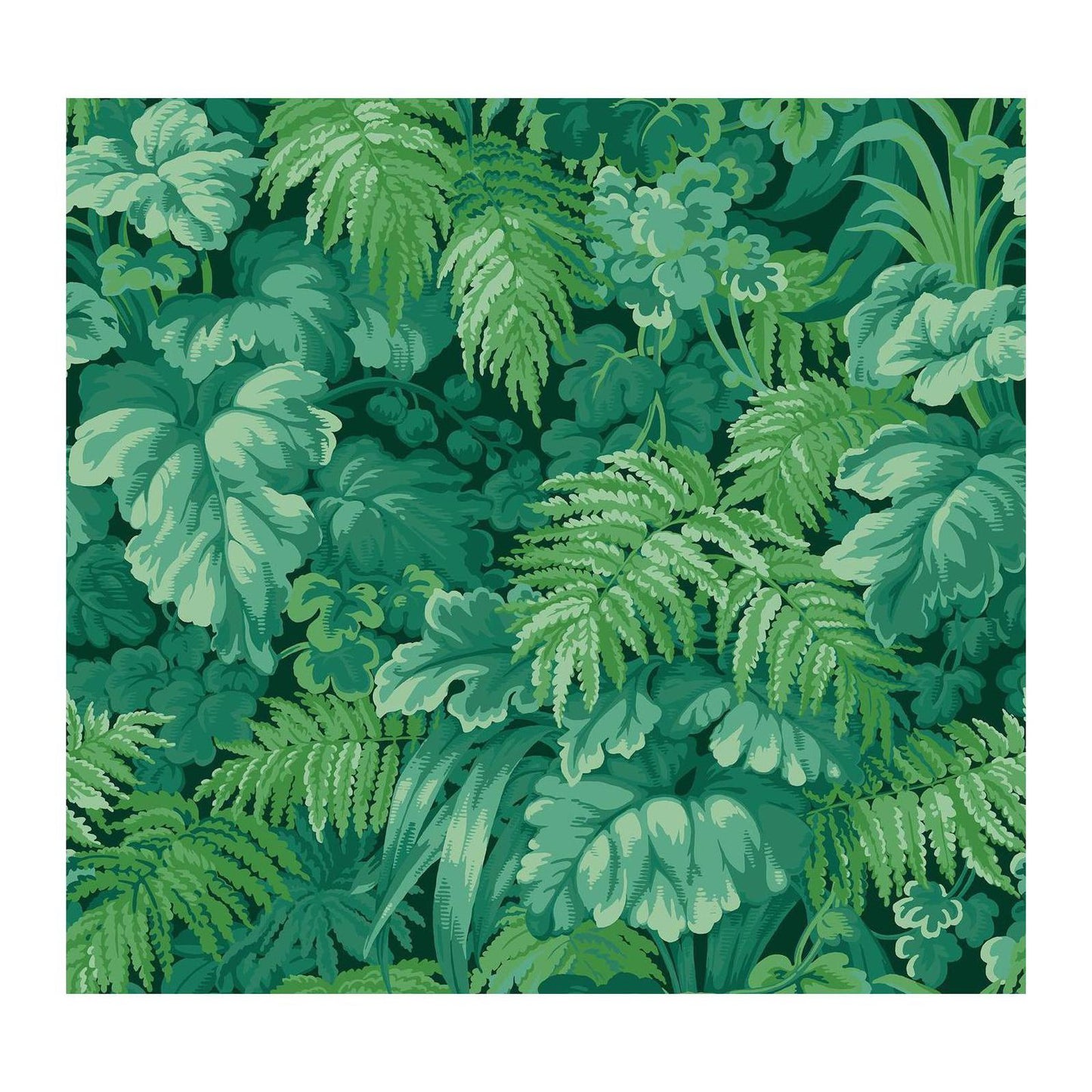 Royal Fernery - Wallpaper Trader