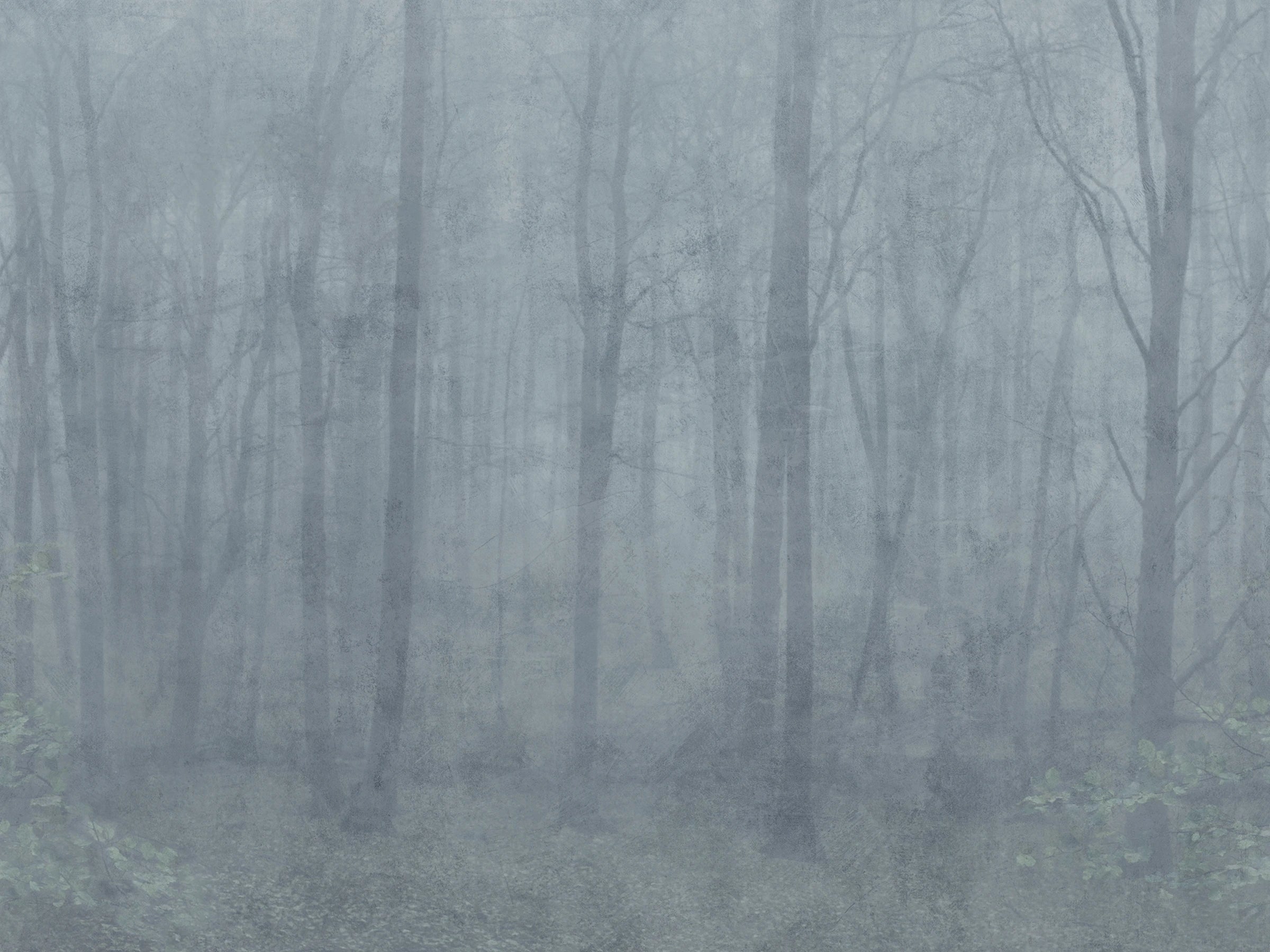 Skog wall mural by Sandberg – forest & woodland design, Blue – Misty Blue