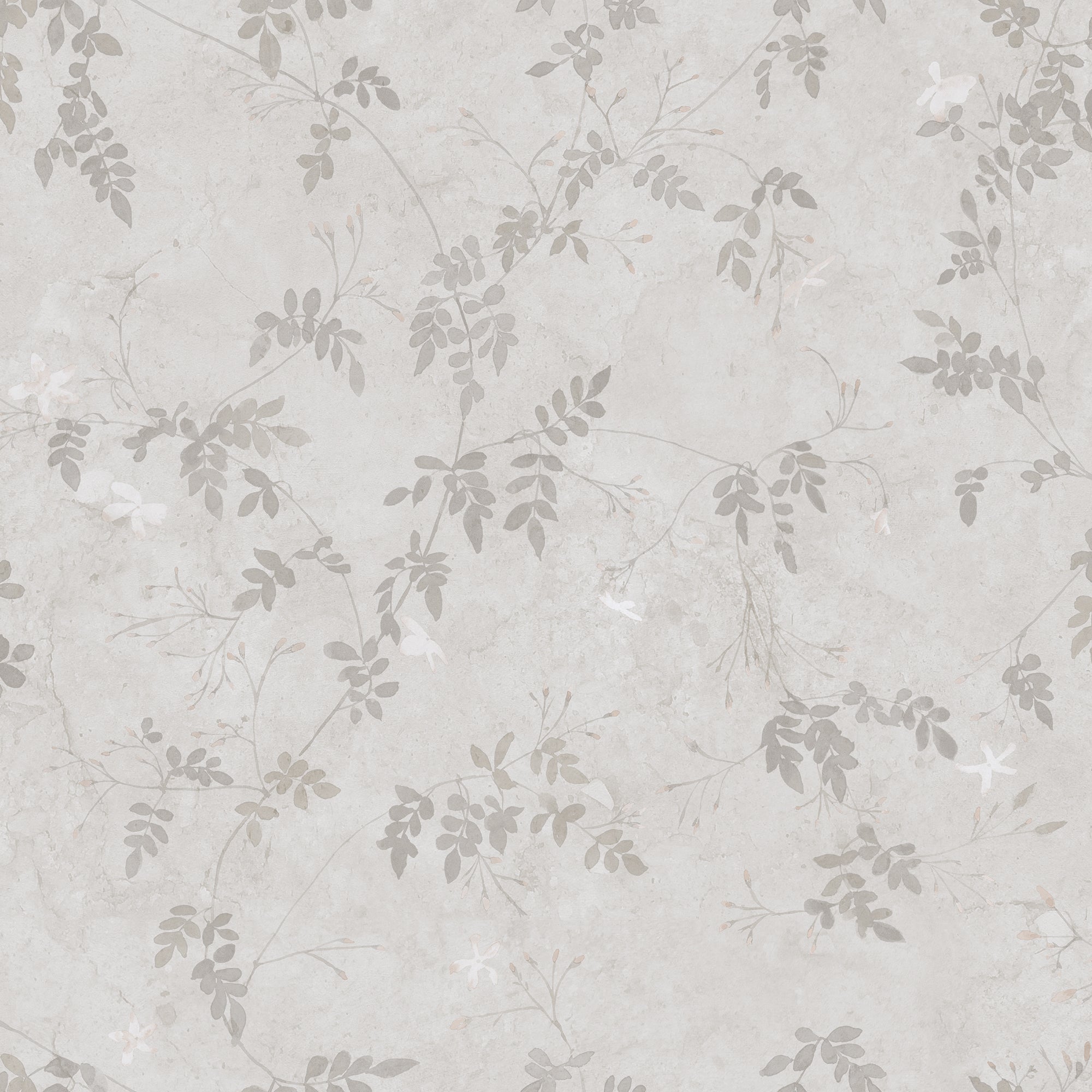 Irene wallpaper by Sandberg, tonal grey and taupe jasmine vines on pale plaster, flat swatch colourway