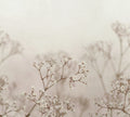 Julia wall mural by Sandberg – floral design, Pink – Blush – styled in a room setting, view 2
