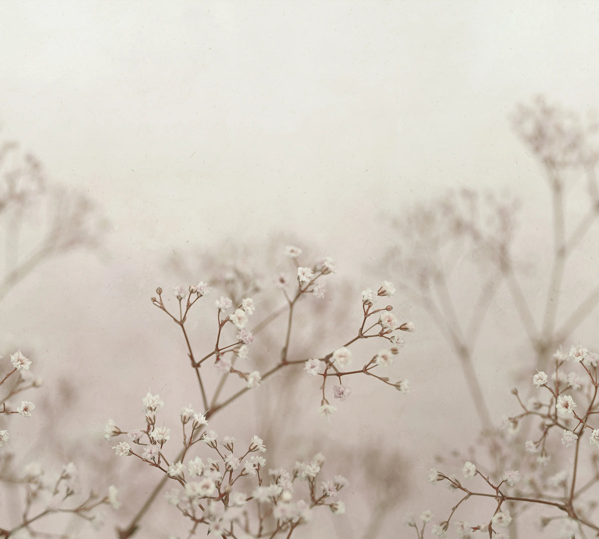 Julia wall mural by Sandberg – floral design, Pink – Blush – styled in a room setting, view 2