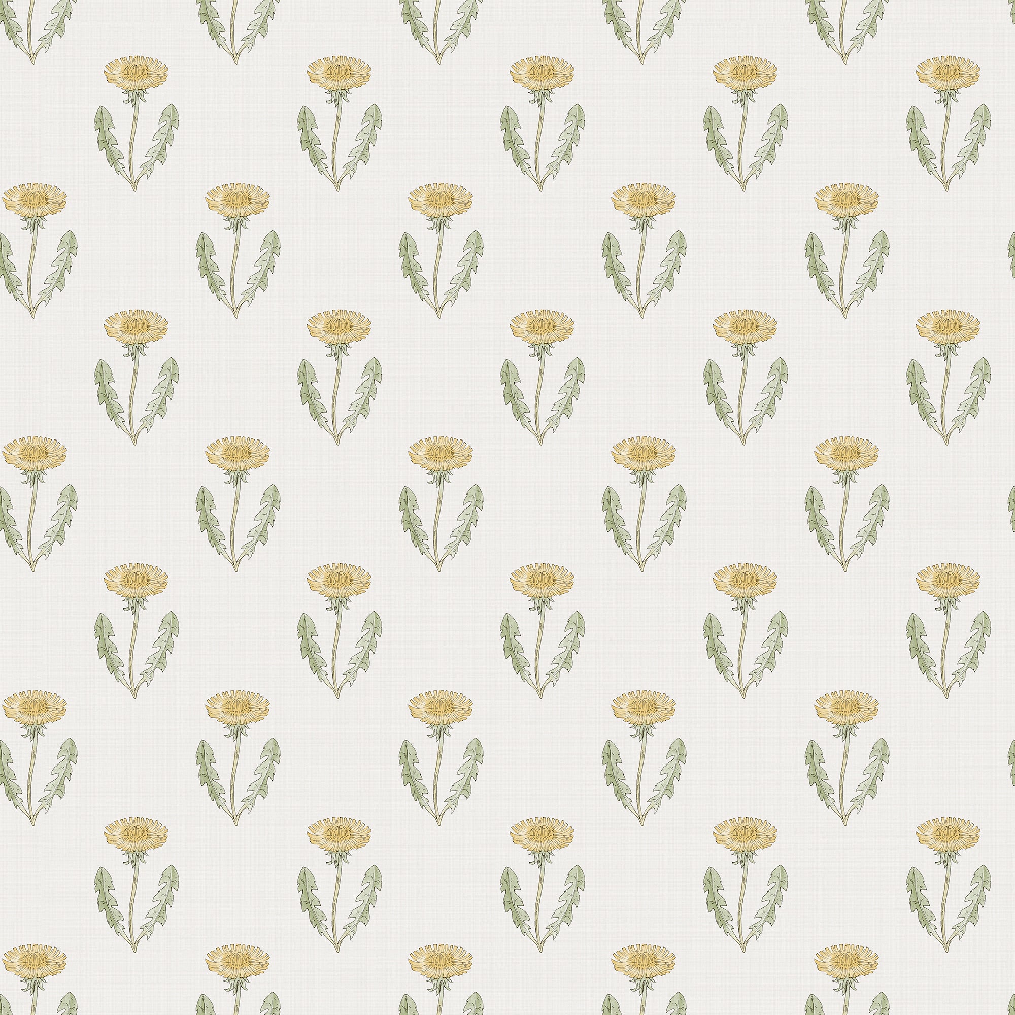 Maskrosen wallpaper by Sandberg, flat swatch of soft yellow dandelion motifs with sage leaves on a cream ground