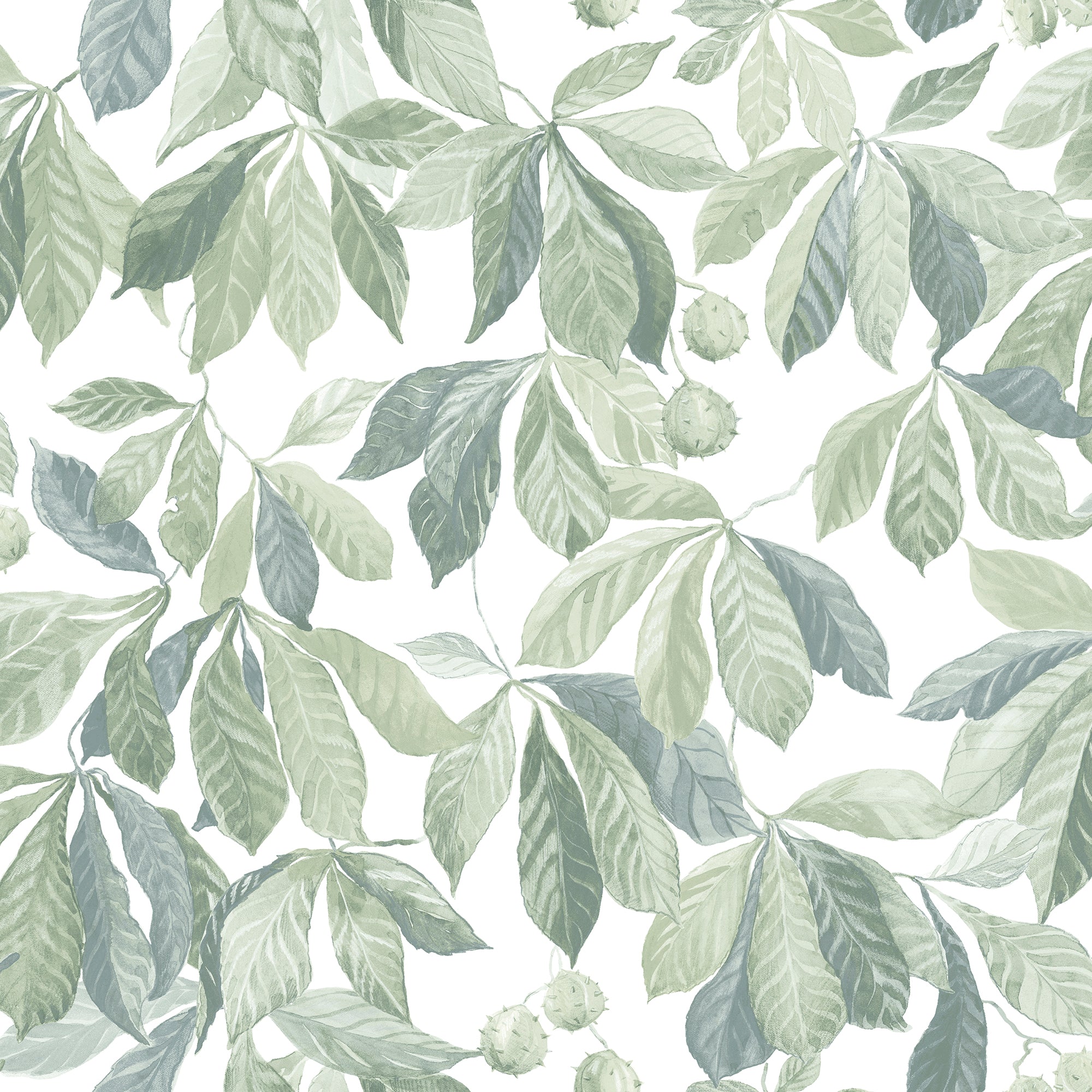 Kersti wallpaper by Sandberg, sage and grey-green chestnut leaves with conkers on a white ground, flat roll swatch