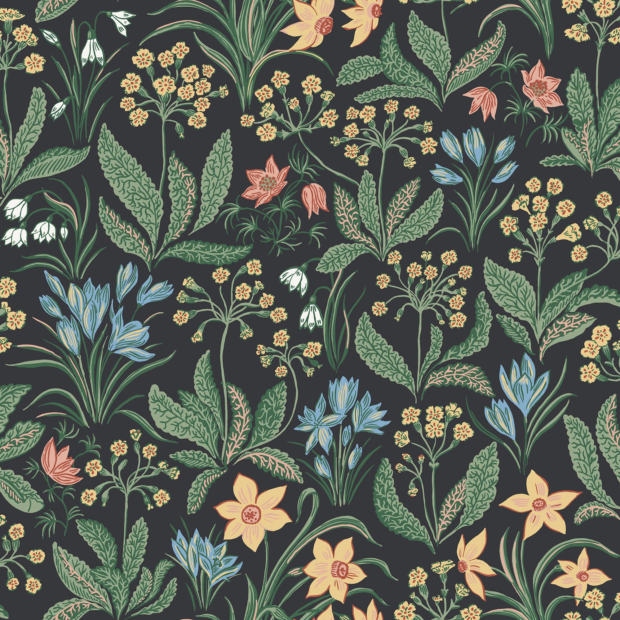 Huset i Solen wallpaper by Sandberg, flat swatch of a spring meadow of crocus, daffodils and snowdrops in green and gold on near-black