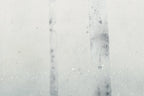 Sundborn wall mural by Sandberg – forest & woodland design, White – Winter