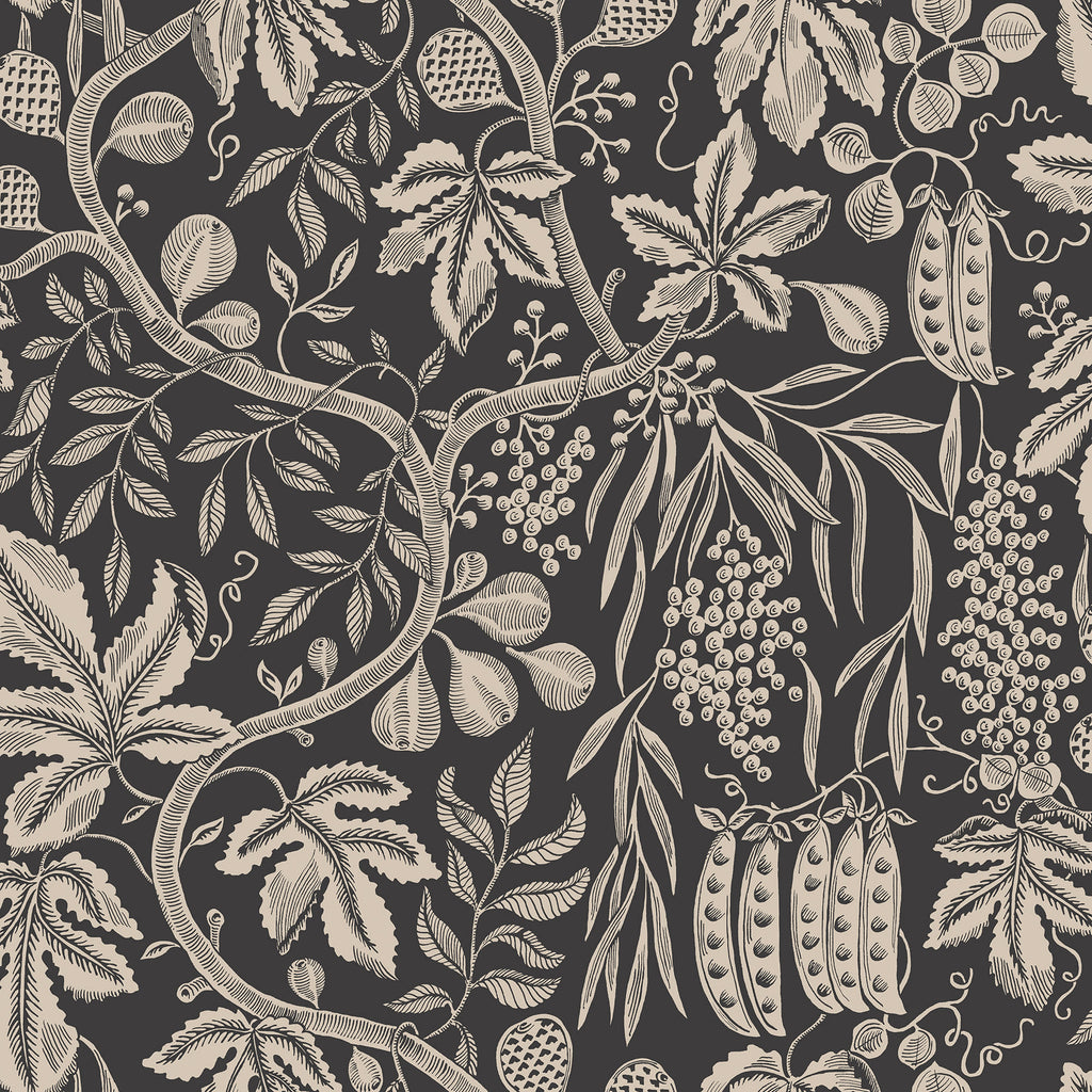 Fig Garden wallpaper by Sandberg, cream peapod and trailing fruit-vine print on charcoal, flat swatch