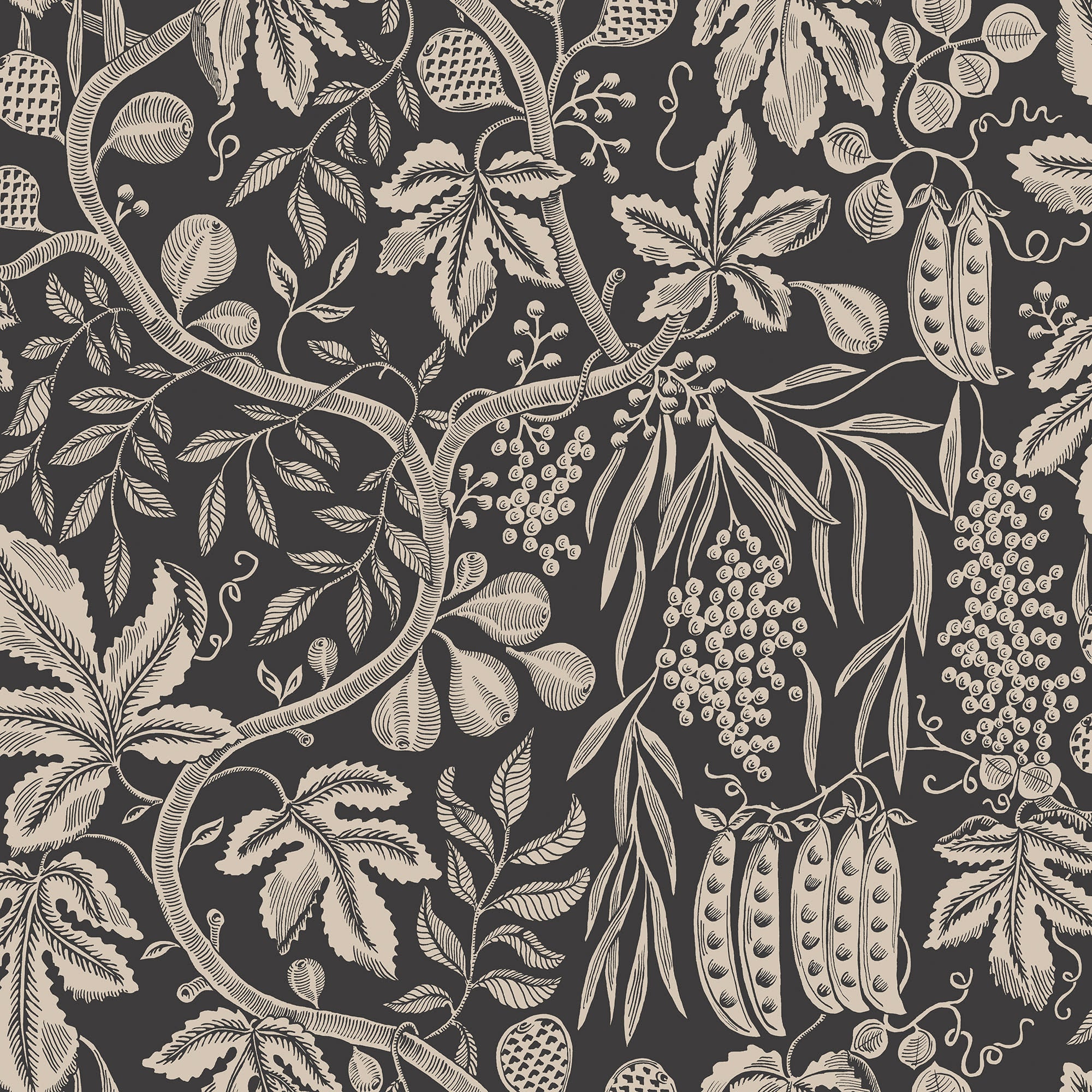Fig Garden wallpaper by Sandberg, cream peapod and trailing fruit-vine print on charcoal, flat swatch