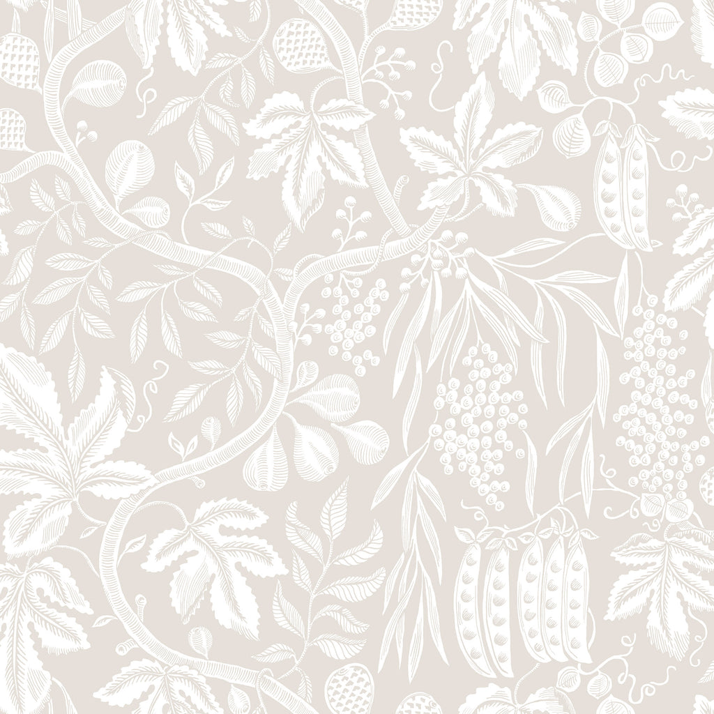 Fig Garden wallpaper by Sandberg, white peapod and fruit-vine print on pale beige, flat swatch colourway
