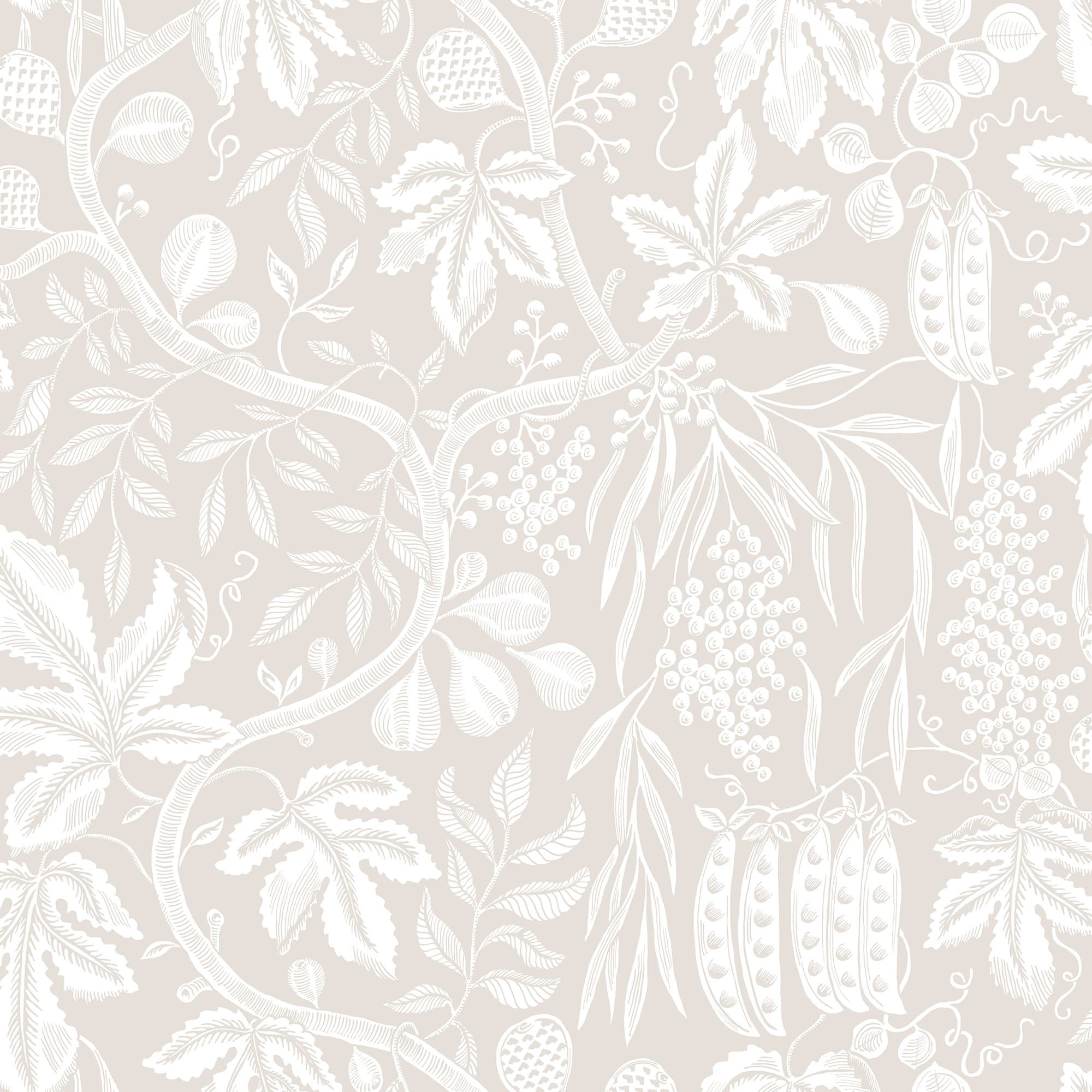 Fig Garden wallpaper by Sandberg, white peapod and fruit-vine print on pale beige, flat swatch colourway