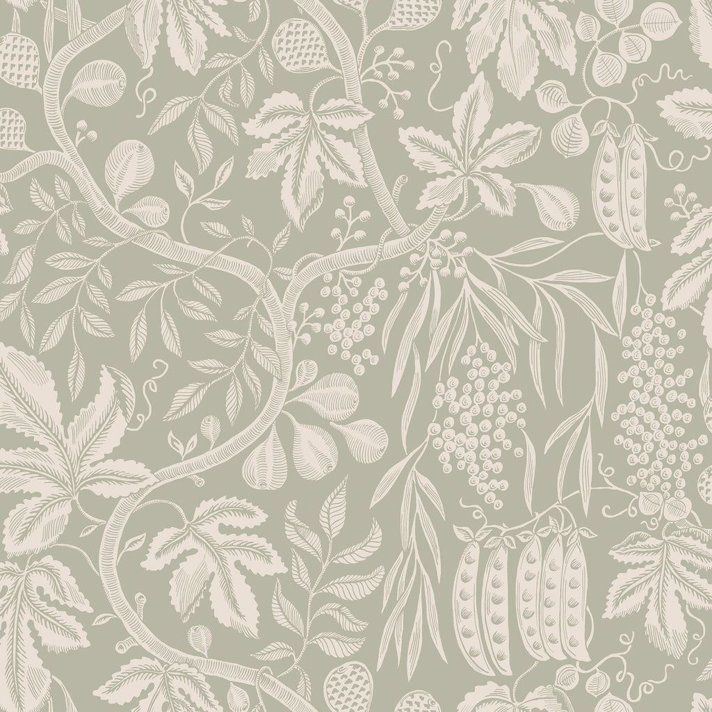 Fig Garden wallpaper by Sandberg, peapod and fruit-vine motif on soft sage green, flat swatch colourway