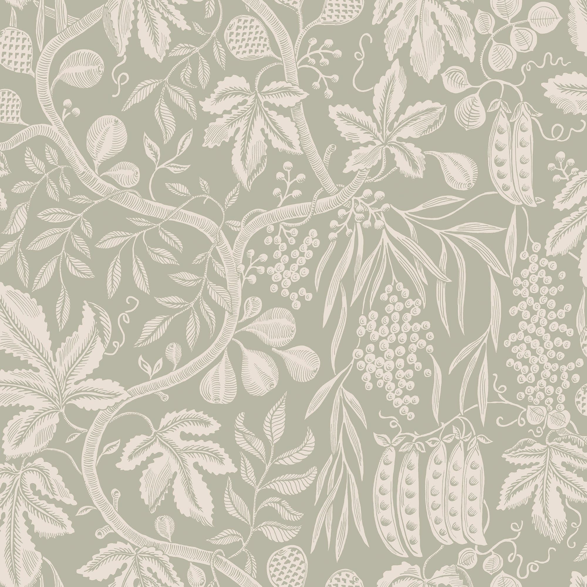 Fig Garden wallpaper by Sandberg, peapod and fruit-vine motif on soft sage green, flat swatch colourway