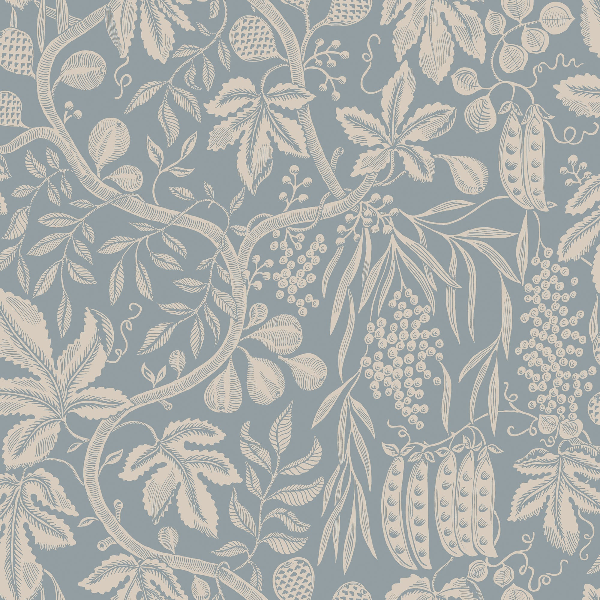 Fig Garden wallpaper by Sandberg, peapod and fruit-vine motif on dusty blue, flat swatch colourway