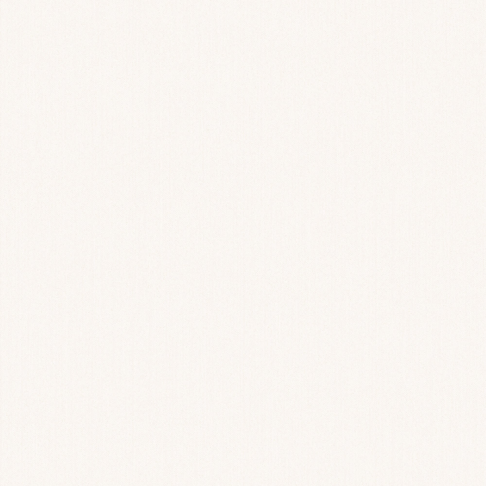 Linne wallpaper by Sandberg in soft creamy white, flat roll swatch with a smooth linen-look texture