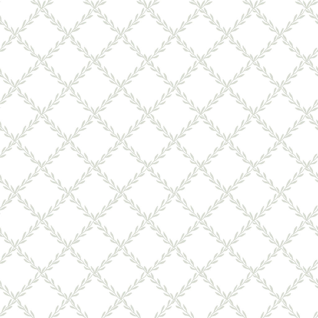 Trellis wallpaper by Sandberg in pale grey on white, delicate leaf-trail trellis pattern, flat roll swatch