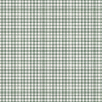 Ruta wallpaper by Sandberg in sage green gingham check on white, flat roll swatch