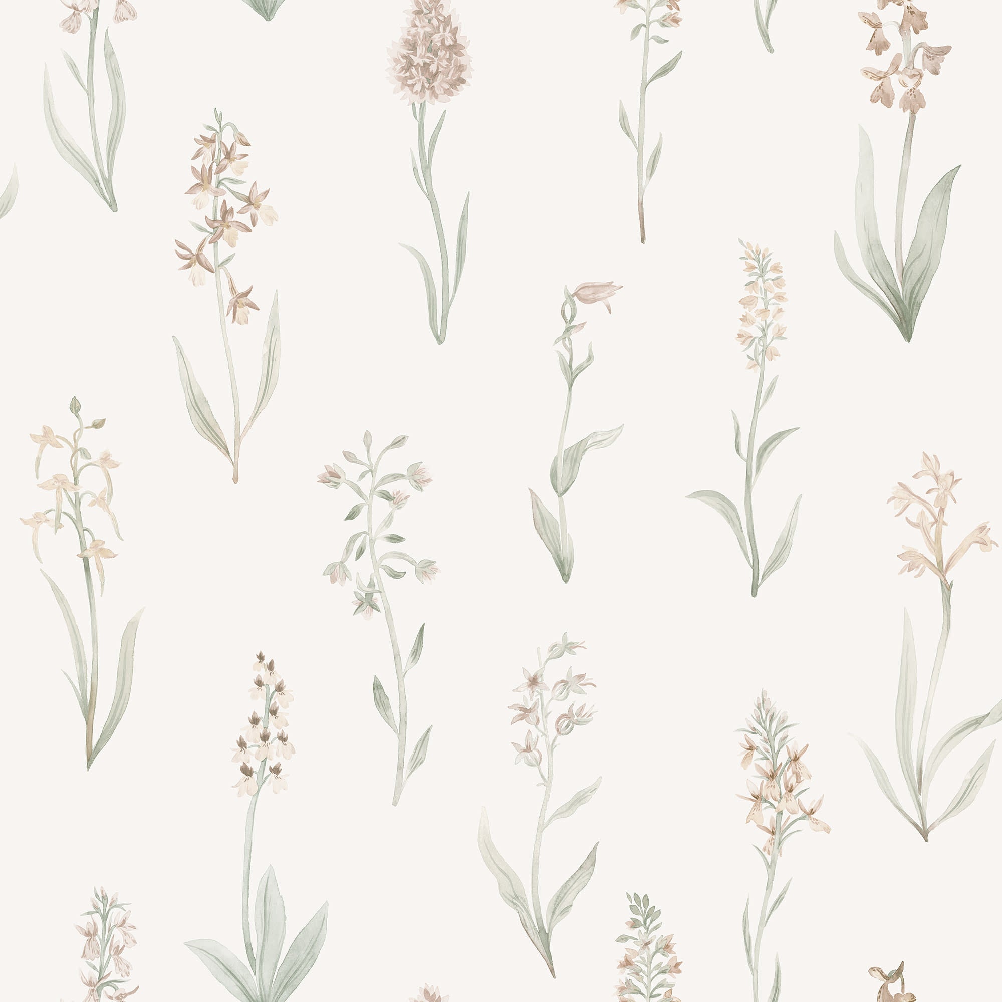 Alma wallpaper by Sandberg, watercolour wild orchid stems in blush and sage green on cream, flat roll swatch