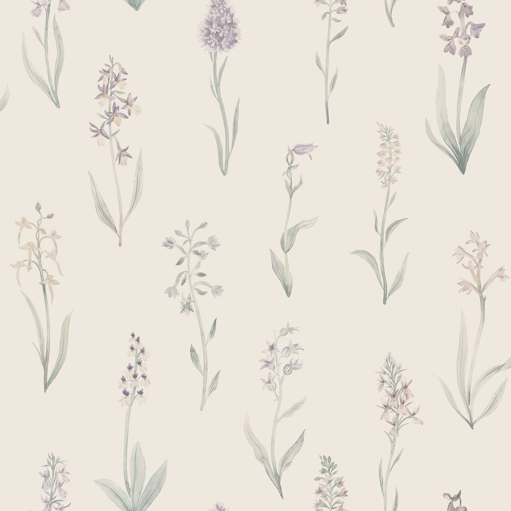 Alma wallpaper by Sandberg, watercolour wild orchid stems in lilac and green on cream, flat roll swatch