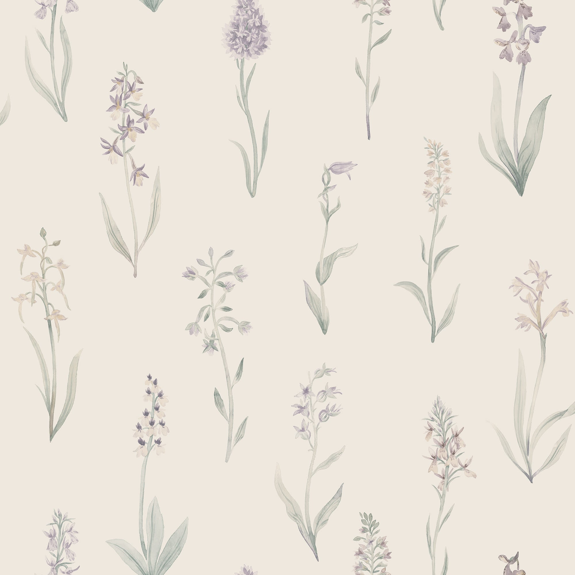 Alma wallpaper by Sandberg, watercolour wild orchid stems in lilac and green on cream, flat roll swatch