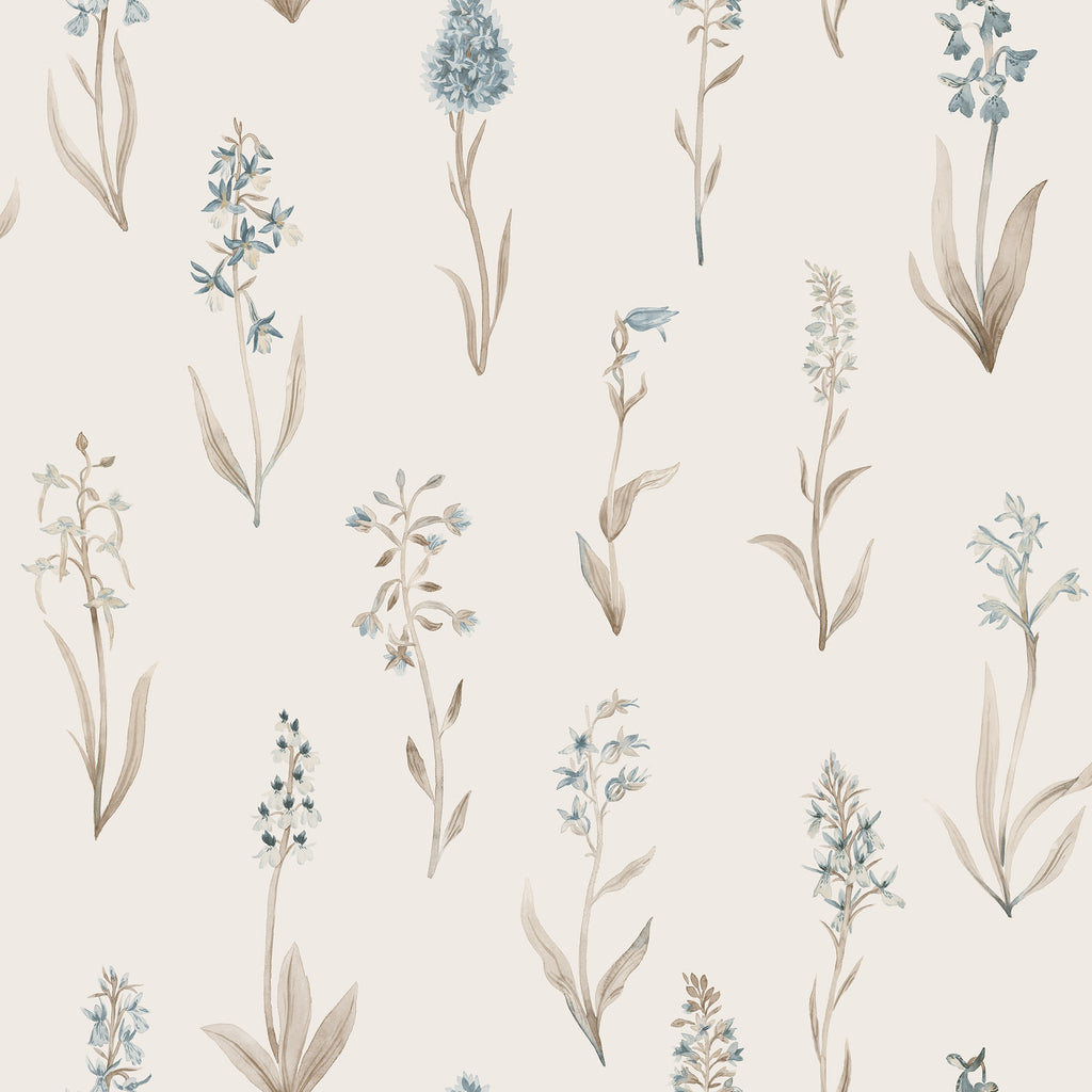 Alma wallpaper by Sandberg, watercolour wild orchid stems in soft blue and tan on cream, flat roll swatch