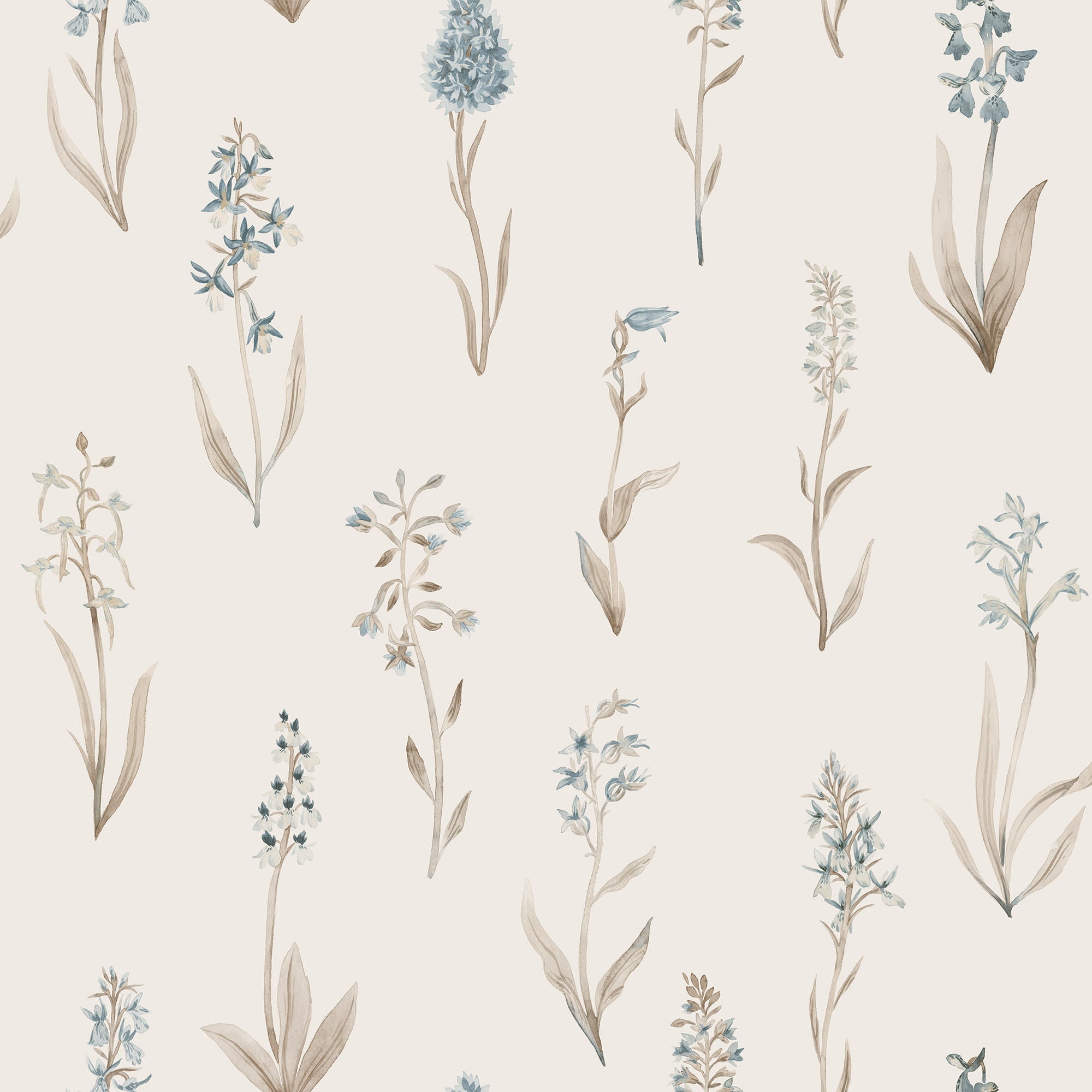 Alma wallpaper by Sandberg, watercolour wild orchid stems in soft blue and tan on cream, flat roll swatch